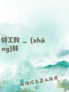 特工教師