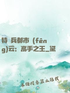 特種兵都市風(fēng)云：高手之王
