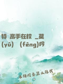 特種高手在校園