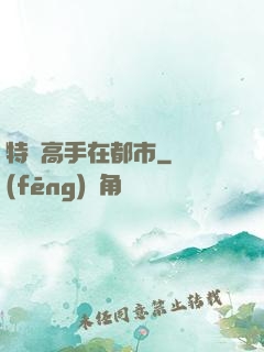 特種高手在都市