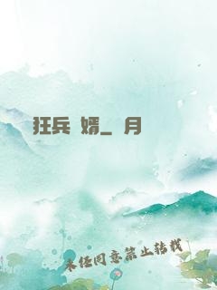 狂兵贅婿