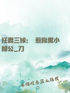 狂妻三嫁：誤惹腹黑小相公