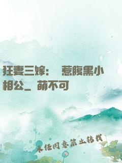 狂妻三嫁：誤惹腹黑小相公