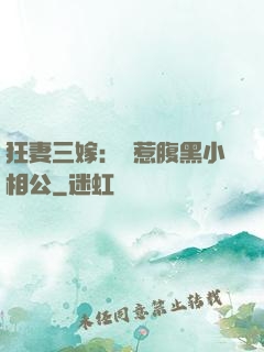 狂妻三嫁：誤惹腹黑小相公