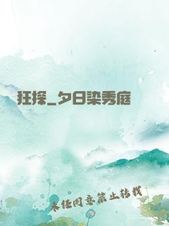 狂探