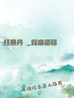 狂暴丹師