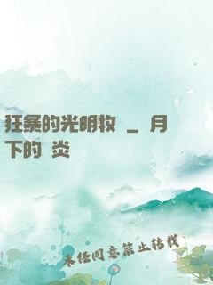 狂暴的光明牧師