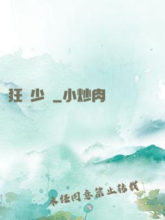 狂獅少帥