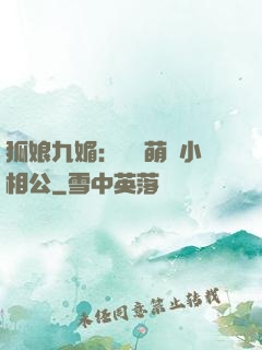 狐娘九媚：撿個萌寶小相公