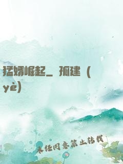 猛婿崛起