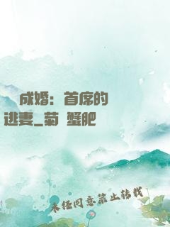 獵愛成婚：首席的億萬逃妻