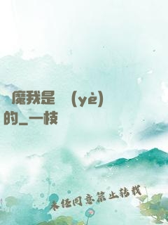 獵魔我是專業(yè)的