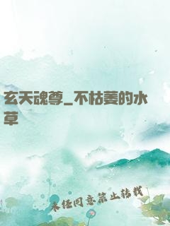 玄天魂尊