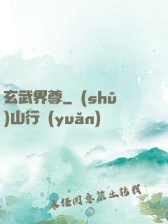 玄武界尊