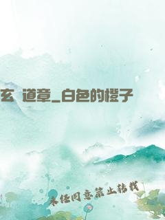 玄渾道章