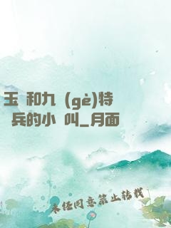 玉兒和九個(gè)特種兵的小說叫