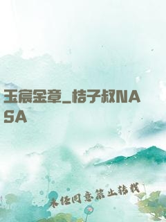 玉宸金章