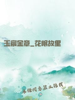玉宸金章