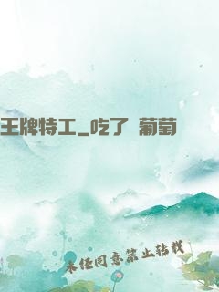 王牌特工