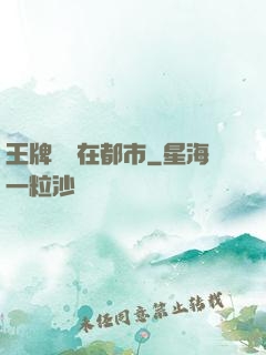 王牌賤諜在都市
