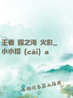 王者榮耀之海賊火影