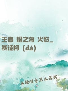 王者榮耀之海賊火影