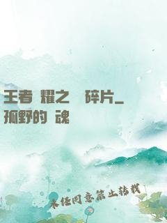 王者榮耀之無敵碎片