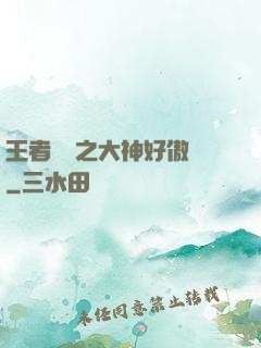 王者歸來之大神好傲嬌