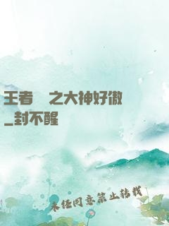 王者歸來之大神好傲嬌