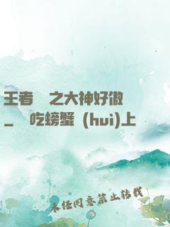 王者歸來之大神好傲嬌