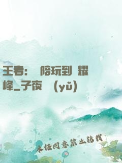 王者：從陪玩到榮耀巔峰