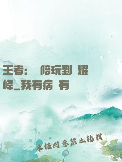 王者：從陪玩到榮耀巔峰