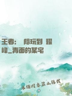 王者：從陪玩到榮耀巔峰