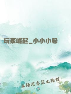 玩家崛起