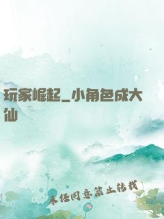 玩家崛起