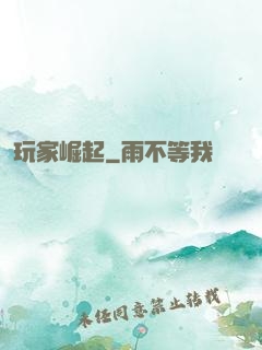 玩家崛起