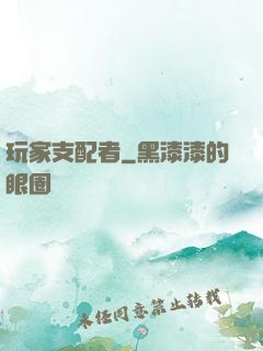 玩家支配者