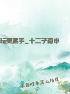 玩美高手