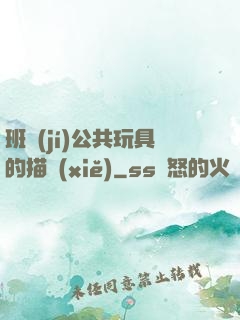 班級(jí)公共玩具的描寫(xiě)