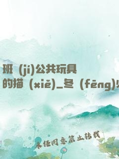 班級(jí)公共玩具的描寫(xiě)