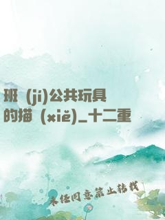 班級(jí)公共玩具的描寫(xiě)