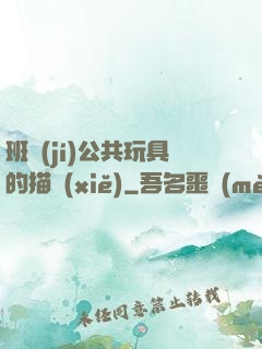 班級(jí)公共玩具的描寫(xiě)