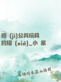 班級(jí)公共玩具的描寫(xiě)