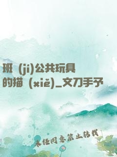 班級(jí)公共玩具的描寫(xiě)