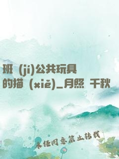 班級(jí)公共玩具的描寫(xiě)