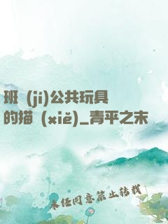 班級(jí)公共玩具的描寫(xiě)