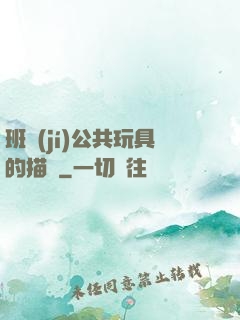 班級(jí)公共玩具的描寫