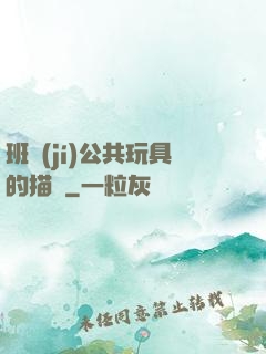班級(jí)公共玩具的描寫