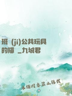 班級(jí)公共玩具的描寫