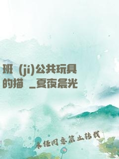 班級(jí)公共玩具的描寫